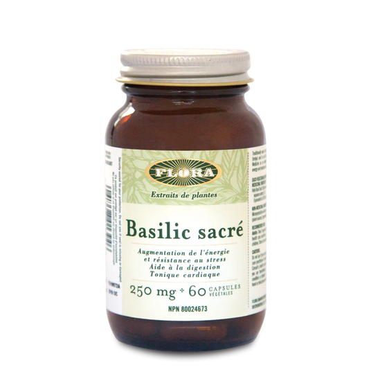 HOLY BASIL | BASILIC SACRÉ (60 Capsules)