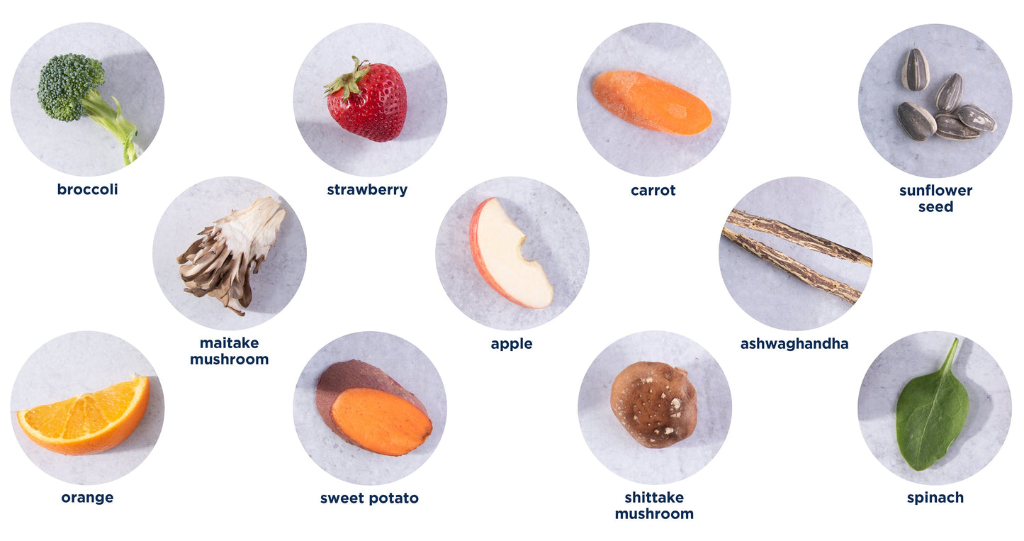 Strassveda ingredients: broccoli, strawberry, carrot, sunflower seed, maitake mushroom, apple, ashwaghandha, orange, sweet potato, shiitake mushroom and spinach