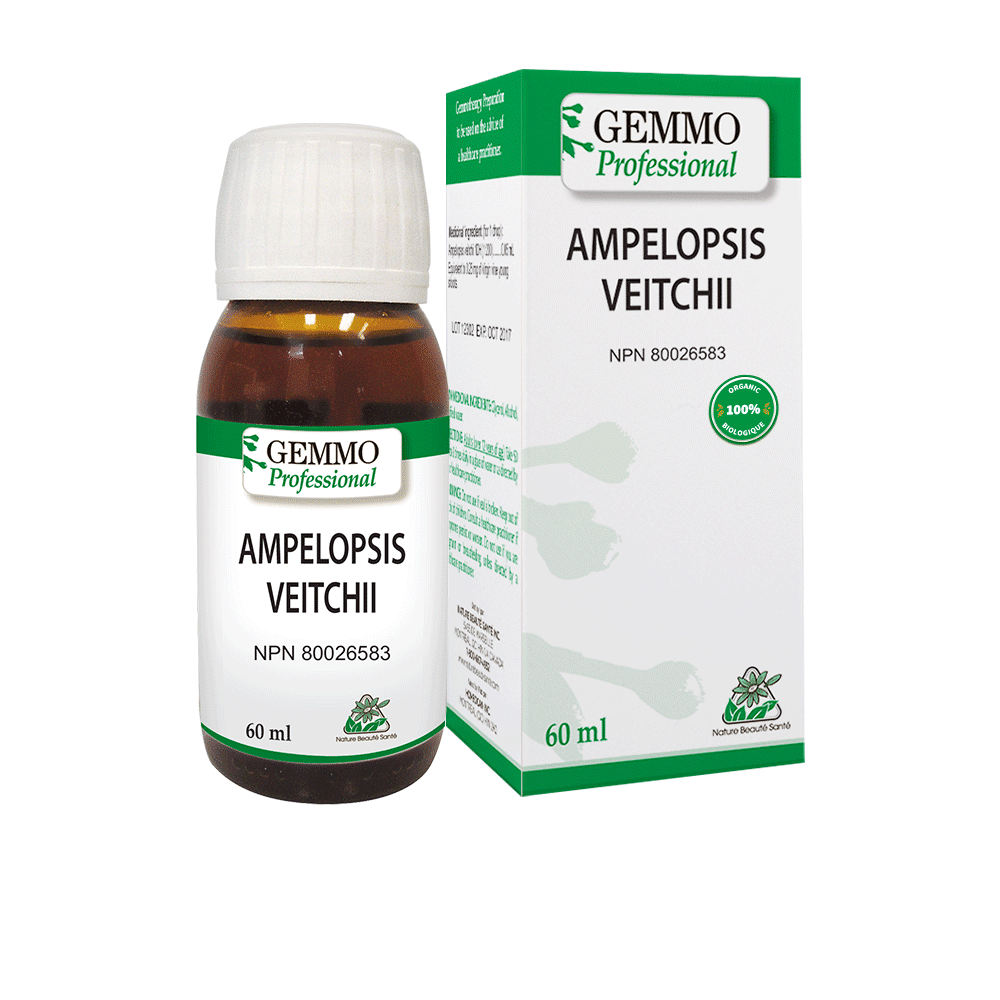 Ampelopsis Veitchii Organic 60 ml | Gemmo Professional