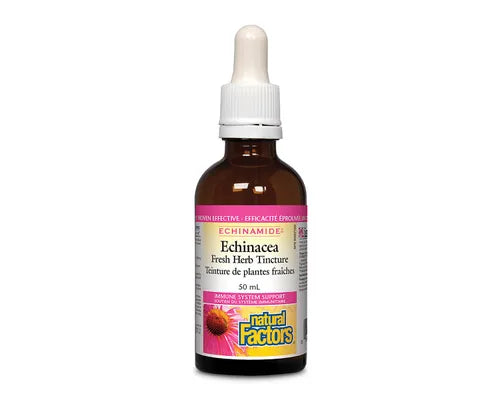 Natural Factors Echinamide Echinacea Fresh Herb Tincture 50mL