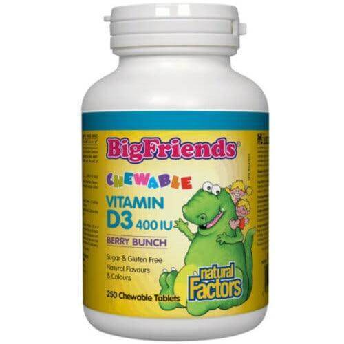 Natural Factors - Natural Factors - Big Friends Chewable Vitamin D3 - 400IU