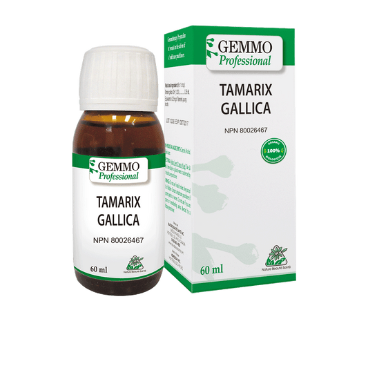 Tamarix Gallica Organic 60 ml | Gemmo Professional