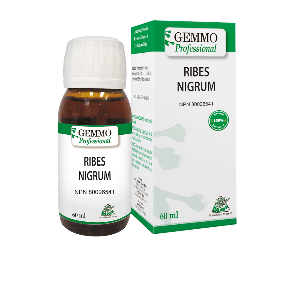 Ribes Nigrum 60 ml or 125 ml Organic | Gemmo Professional