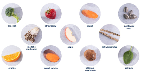 Strassveda ingredients: broccoli, strawberry, carrot, sunflower seed, maitake mushroom, apple, ashwaghandha, orange, sweet potato, shiitake mushroom and spinach