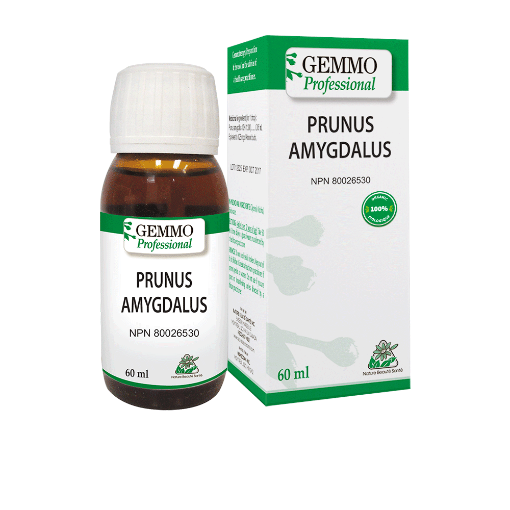 Prunus Amygdalus 60 ml Organic | Gemmo Professiona