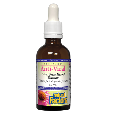 Natural Factors Echinamide Anti-Viral Tincture 50mL