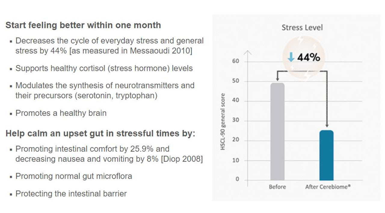 Probiome: Healthy Mood and Balance